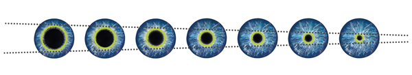Conception d’optimisation Pupillaire ACUVUE(MD)